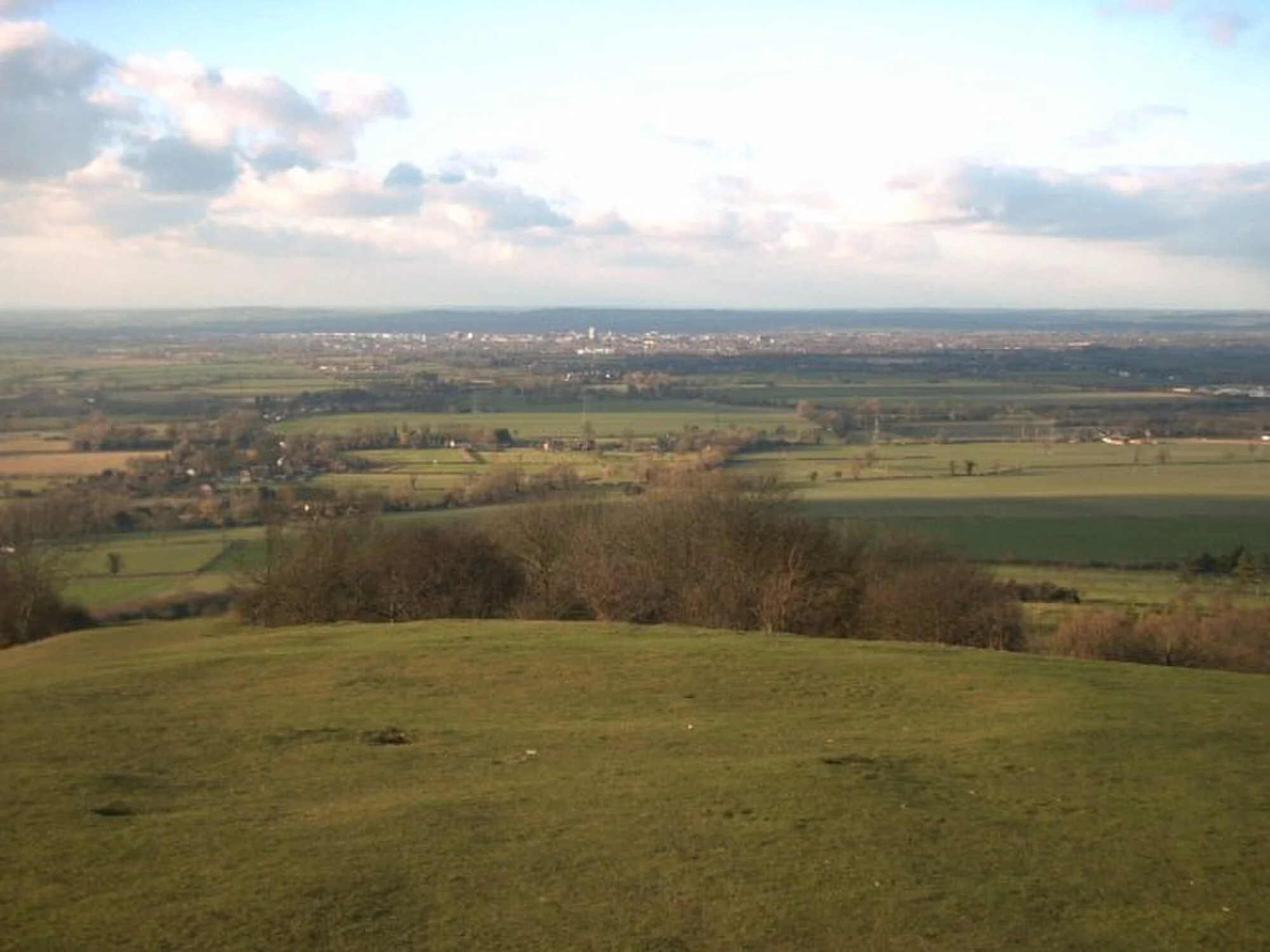 Vets in Aylesbury