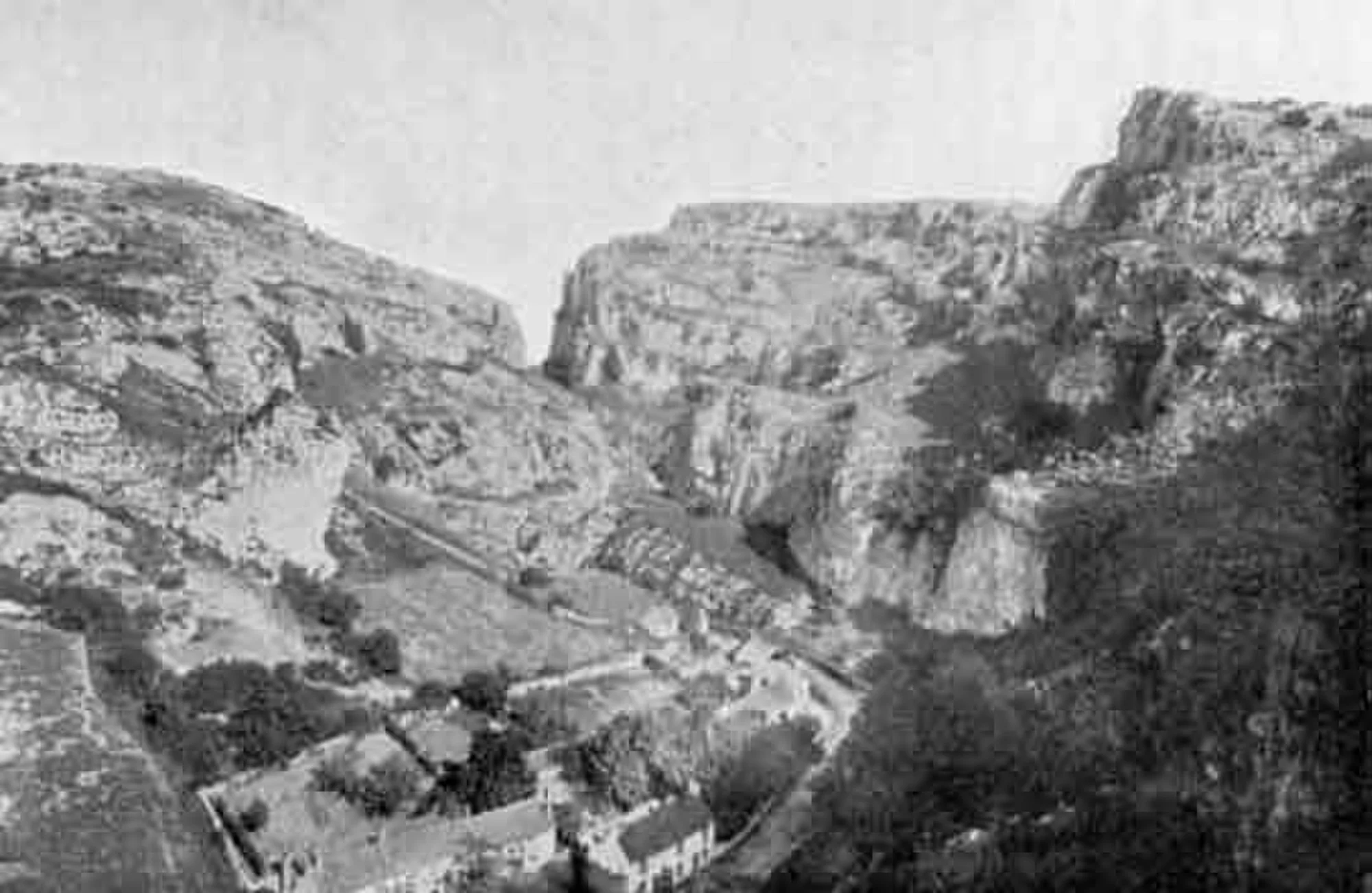 Vets in Cheddar