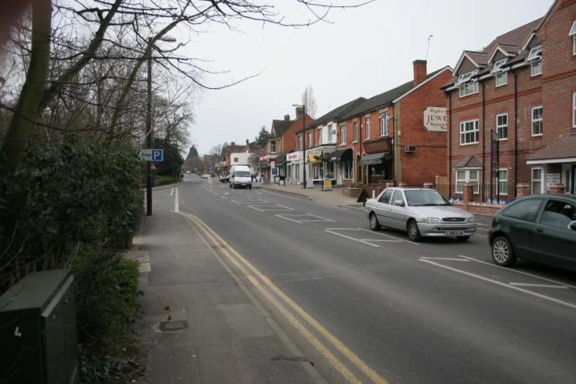 Vets in Crowthorne